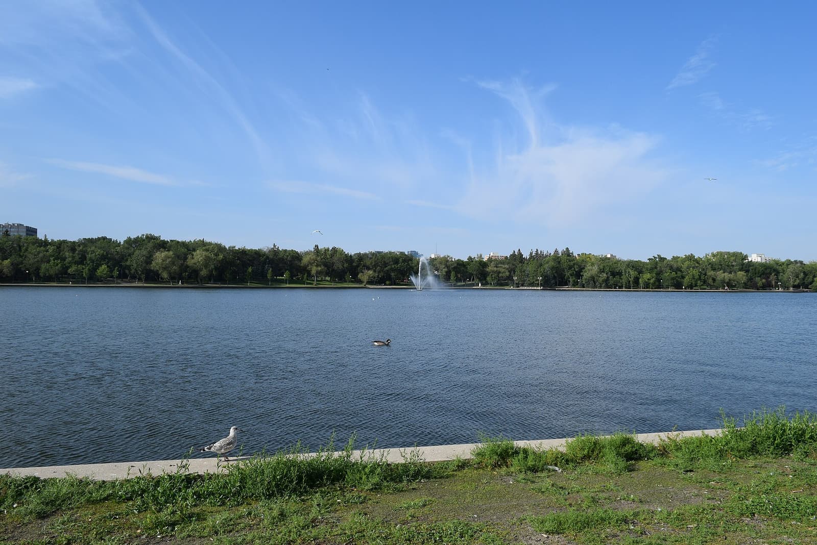 Wascana Lake in Regina on a summer evening